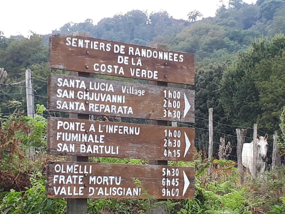 Osari -